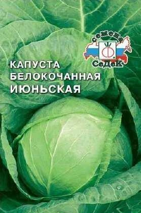 Капуста белокочанная Июньская 1,5 г (СеДек)