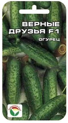Огурец Верные друзья F1, 7 шт (Сиб Сад)