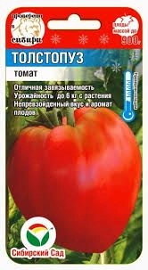 Томат Толстопуз