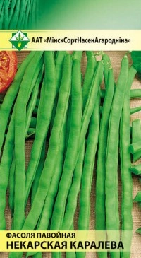 Фасоль спаржевая Некарская королева, 10 шт (МССО)