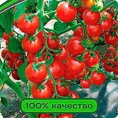 Томат черри Земледелец F1 0,05 г (ПАРТНЕР)