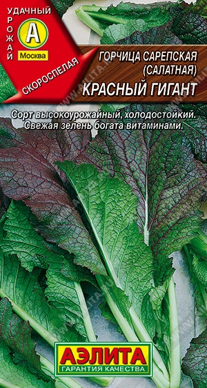 Горчица салатная Красный гигант 0,5 г (АЭЛИТА) Горчица салатная Красный гигант 0,5 г (АЭЛИТА)