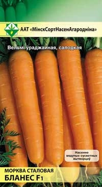 Морковь Бланес F1 столовая, 200 шт (МССО)