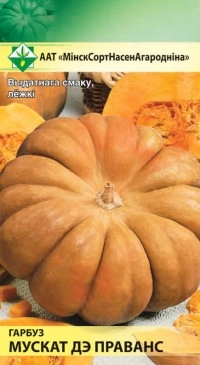 Тыква Мускат де Прованс, 5 шт (МССО)