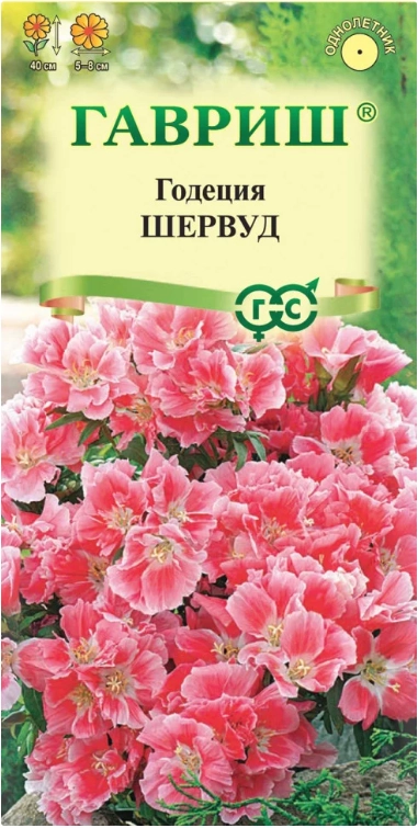 Годеция Шервуд махровая, 0,05 г (ГАВРИШ) Годеция Шервуд махровая, 0,05 г (ГАВРИШ)