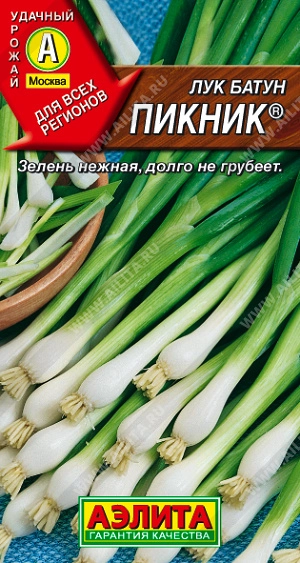 Лук батун Пикник 1 г (АЭЛИТА) Лук батун Пикник 1 г (АЭЛИТА)
