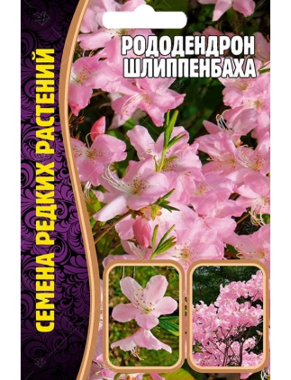 Рододендрон Шлиппенбаха, 0,01 г (Ред.сем)