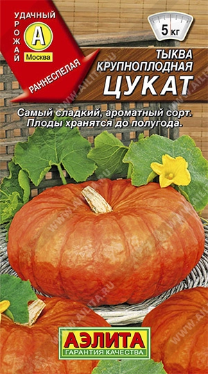 Тыква крупноплодная Цукат, 1 г (АЭЛИТА) Тыква крупноплодная Цукат, 1 г (АЭЛИТА)