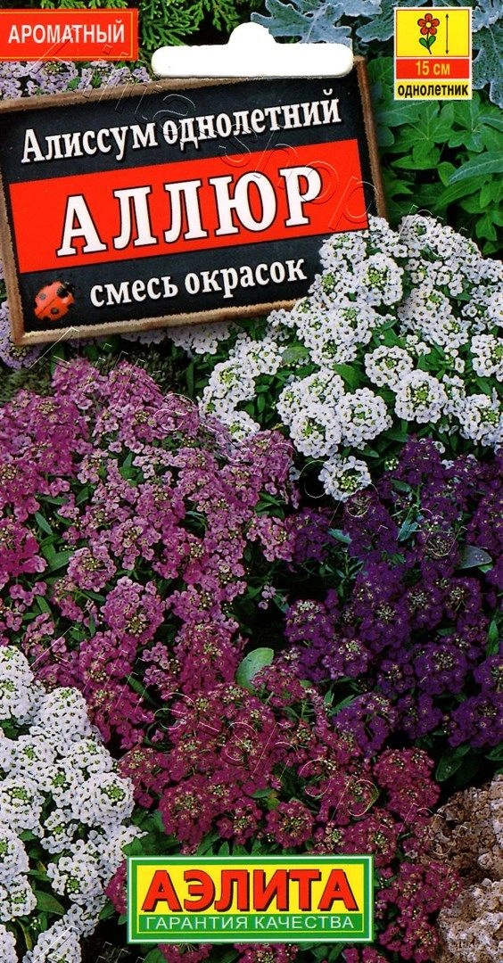 Алиссум Аллюр, смесь 0,1 г Алиссум Аллюр, смесь 0,1 г