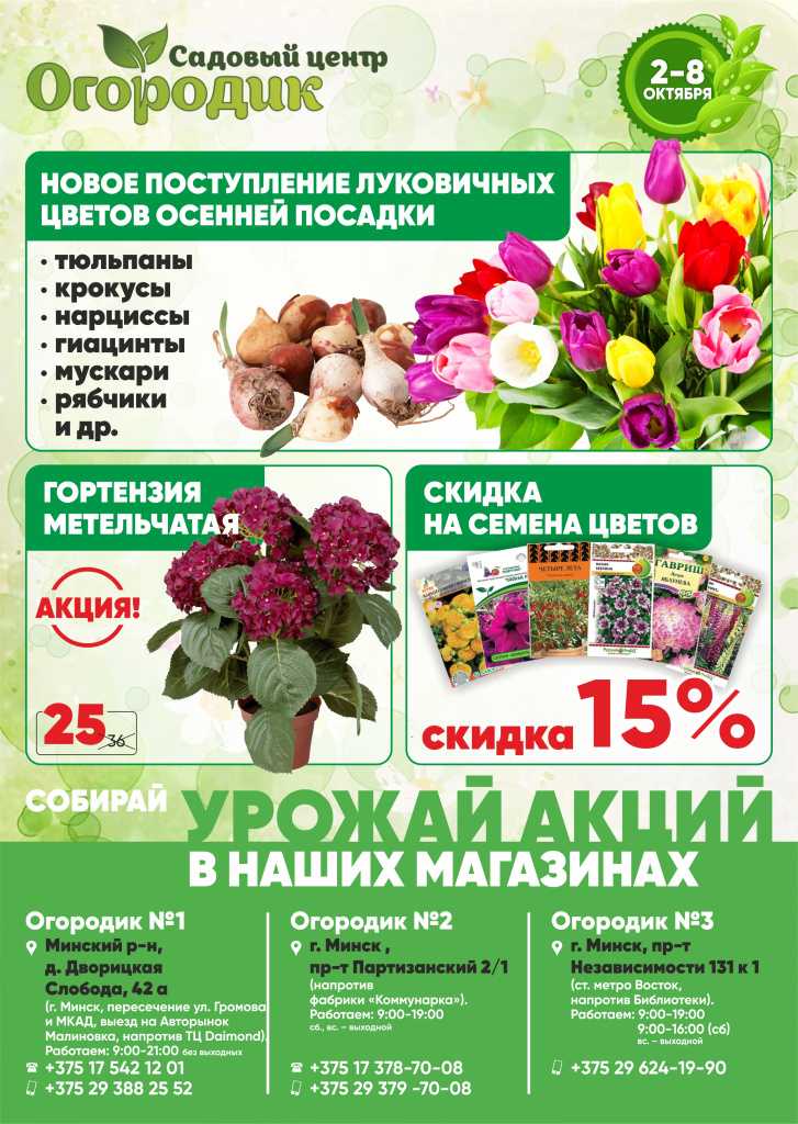 огородик_листовка А4 4+4_ОБОРОТ.jpg