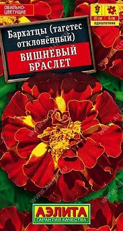 Бархатцы Вишневый браслет, 0,3 г (АЭЛИТА) Бархатцы Вишневый браслет, 0,3 г (АЭЛИТА)