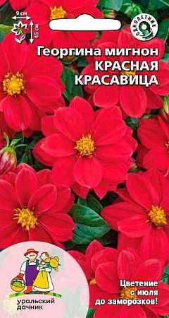 Георгина мигнон Красная красавица 0,2 г (УД)