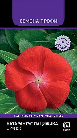 Катарантус Пацифика Оранж Профи однолетник, 10 шт (Поиск)
