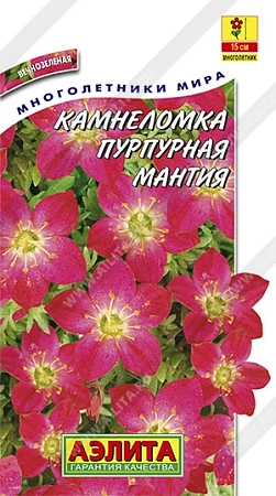 Камнеломка Пурпурная мантия 0,02 г Камнеломка Пурпурная мантия 0,02 г