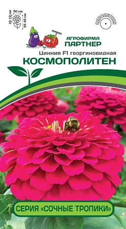Цинния Космополитен F1 (4 шт), 2-ной пак. (ПАРТНЕР)