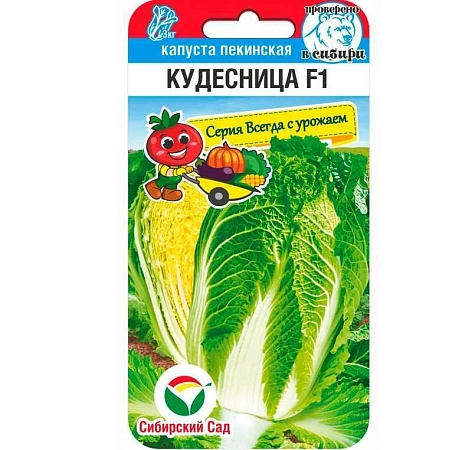 Капуста пекинская Кудесница 0,2 г (Сиб Сад) Капуста пекинская Кудесница 0,2 г (Сиб Сад)
