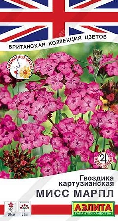 Гвоздика картузианская Мисс Марпл 0,05 г (АЭЛИТА) Гвоздика картузианская Мисс Марпл 0,05 г (АЭЛИТА)