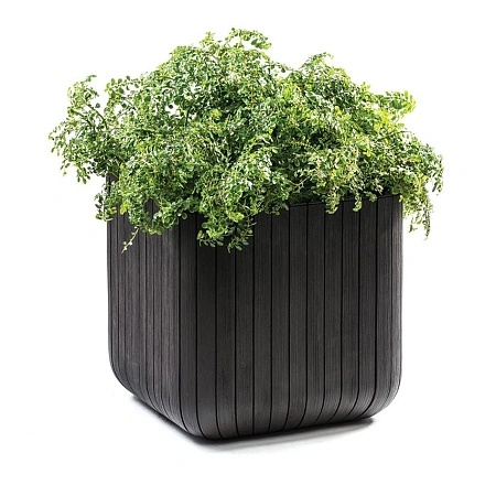 Кашпо Wood Planter jrdbrw-std