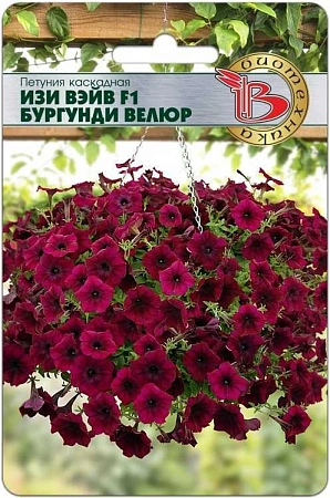 Петуния каскадная Изи Вэйв F1 Бургунди Велюр, 5 шт (Биотехника)