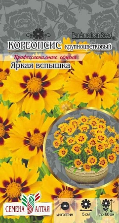 Кореопсис Яркая вспышка, 10 шт Кореопсис Яркая вспышка, 10 шт