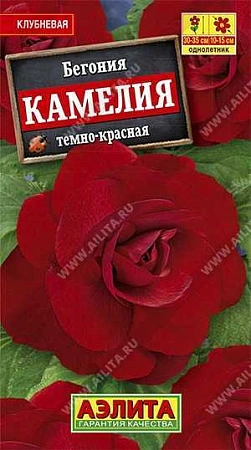 Бегония крупноцветковая Камелия темно-красная, 10 шт