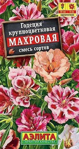 Годеция Махровая, смесь 0,2 г Годеция Махровая, смесь 0,2 г