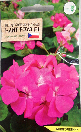 Пеларгония Найт Роуз F1, 5 шт (Агромаркет)
