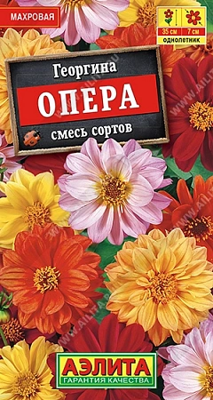 Георгина Опера, смесь 7 шт (АЭЛИТА)