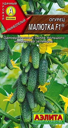 Огурец Малютка F1, 10 шт Огурец Малютка F1, 10 шт
