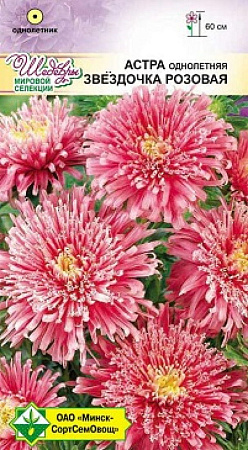 Астра Звездочка Розовая, 0,1 г (МССО)