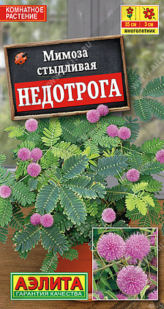 Мимоза Недотрога, 10 шт (Аэлита) Мимоза Недотрога, 10 шт (Аэлита)