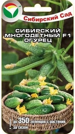 Огурец Сибирский многодетный F1, 7 шт