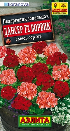 Пеларгония Дансер F2 Ворвик, смесь окрасок (Аэлита) Пеларгония Дансер F2 Ворвик, смесь окрасок (Аэлита)