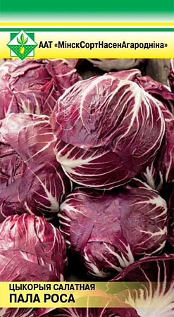 Салат Палла Росса (цикорий), 0,5 г (МССО) Салат Палла Росса (цикорий), 0,5 г (МССО)