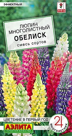 Люпин Обелиск, смесь сортов 7 шт (АЭЛИТА)