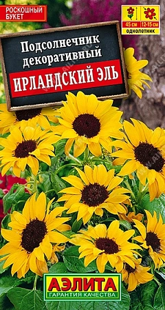 Подсолнечник декоративный Ирландский эль 0,5 г (АЭЛИТА) Подсолнечник декоративный Ирландский эль 0,5 г (АЭЛИТА)