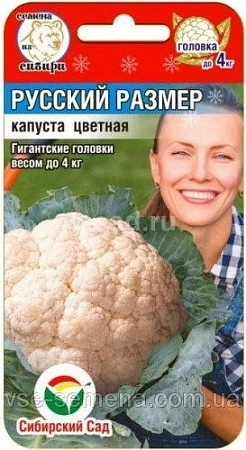 Капуста Цветная Русский размер