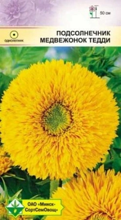 Подсолнечник Медвежонок Тедди, 1 г (МССО) Подсолнечник Медвежонок Тедди, 1 г (МССО)