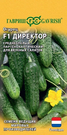 Огурец Директор F1, 5 шт (Голландия)
