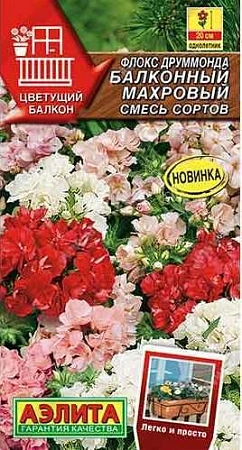 Флокс друммонда Балконный махровый, смесь сортов 7 шт (Аэлита)