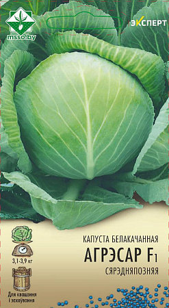 Капуста белокачанная Агрессор F1, 12 шт (Эксперт) (МССО) Капуста белокачанная Агрессор F1, 12 шт (Эксперт) (МССО)