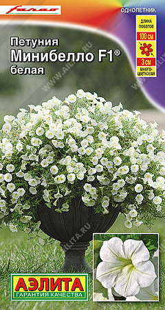 Петуния мини Минибелло F1 белая многоцветковая, 5 шт (Аэлита) Петуния мини Минибелло F1 белая многоцветковая, 5 шт (Аэлита)