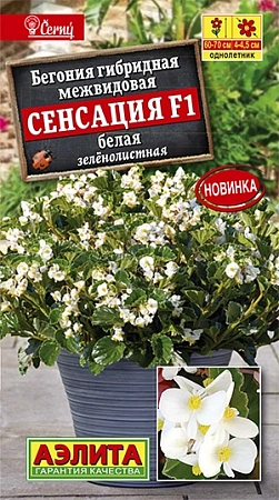 Бегония Сенсация F1 белая зеленолистная, 7 шт (Аэлита)