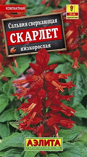 Сальвия сверкающая Скарлет, 0,1 г Сальвия сверкающая Скарлет, 0,1 г