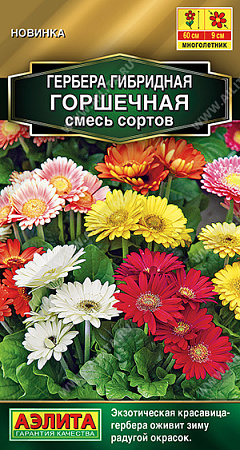 Гербера Горшечная, смесь сортов 10 шт (Аэлита)