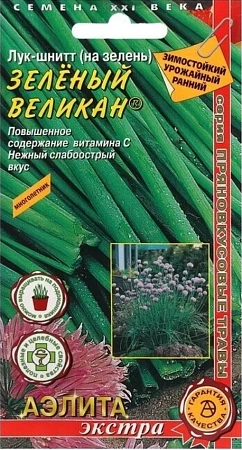 Лук шнитт Зеленый великан 0,2 г (АЭЛИТА) Лук шнитт Зеленый великан 0,2 г (АЭЛИТА)