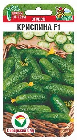 Огурец Криспина F1, 7 шт (Сиб Сад) Огурец Криспина F1, 7 шт (Сиб Сад)