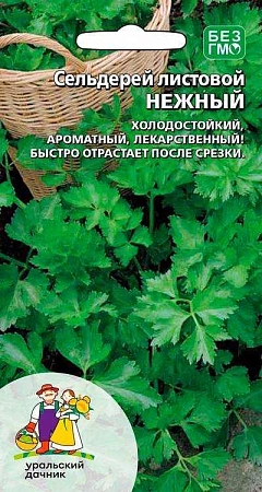 Сельдерей Нежный листовой (УД)