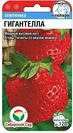 Земляника Гигантелла, 10 шт (Сиб Сад)