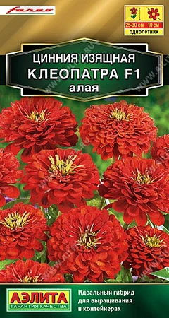 Цинния Клеопатра F1 алая, 12 шт АЭЛИТА Цинния Клеопатра F1 алая, 12 шт АЭЛИТА